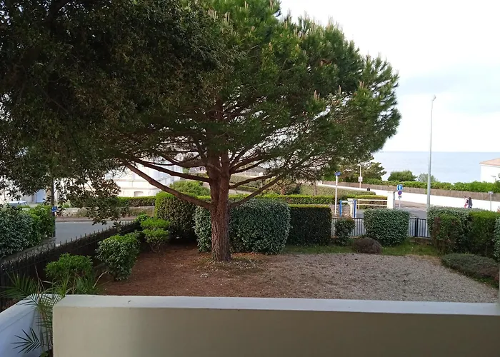 Appartamento Grand 3 Vue Pontaillac *